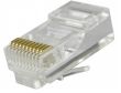 Telefoniczny wtyk 10P 10C RJ50 na kabel płaski cena za 1 szt 